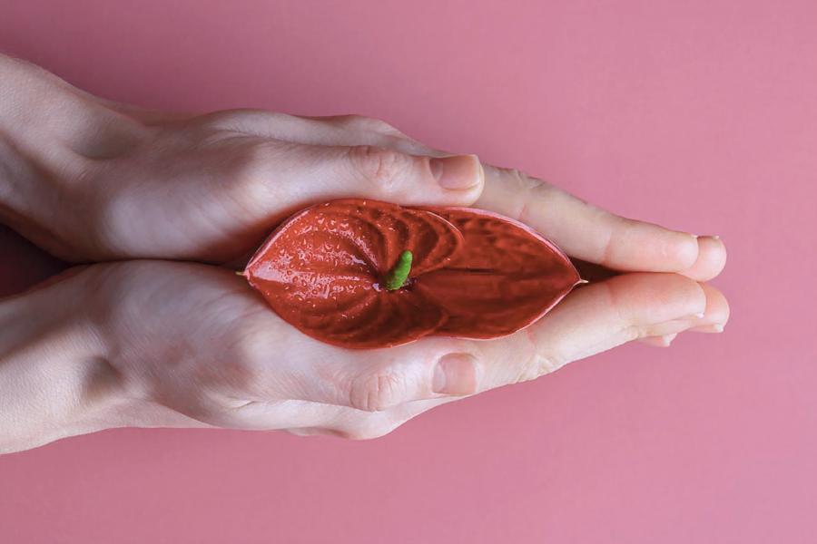 labioplastik – ästhetische korrektur der schamlippen